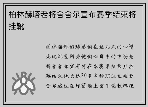 柏林赫塔老将舍舍尔宣布赛季结束将挂靴